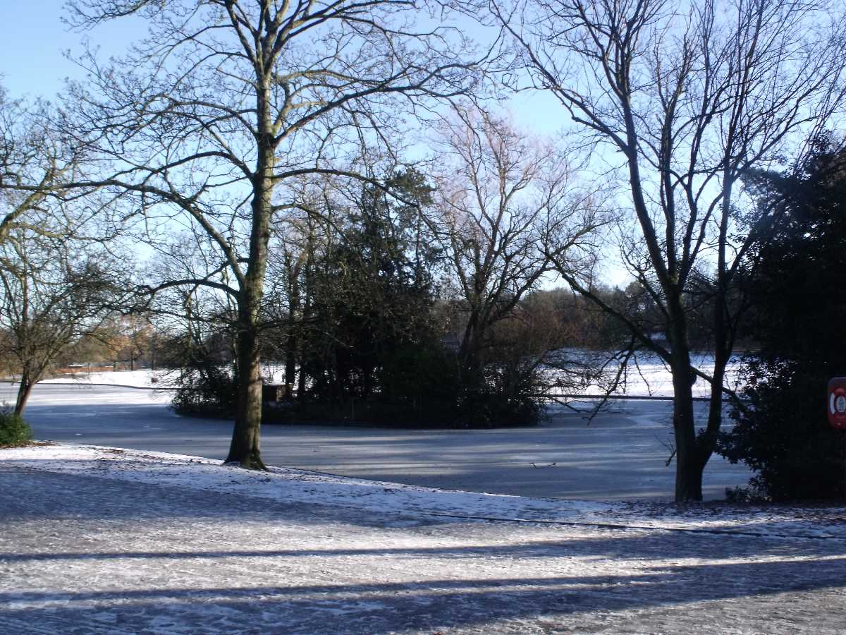 Cannon Hill Park frozen lake (December 2010)